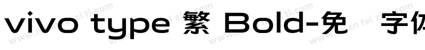 vivo type 繁 Bold字体转换